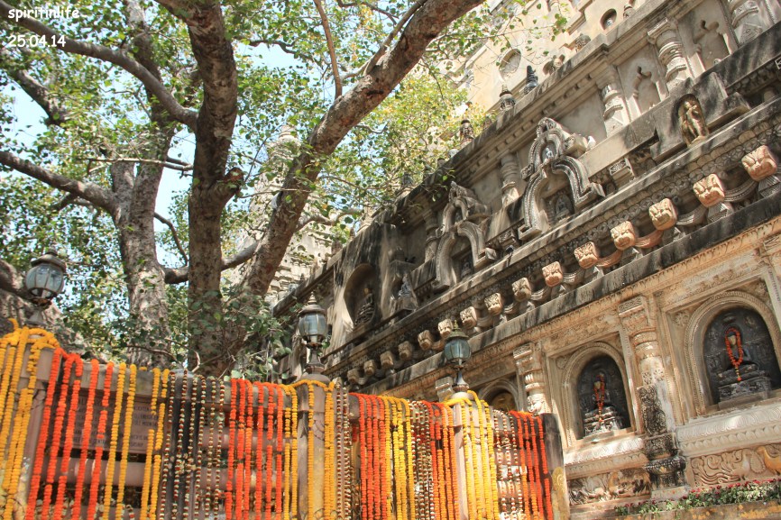 Bodh gaya 2